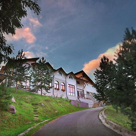 Pensiunea Poiana Verde Slănic Moldova Exterior foto