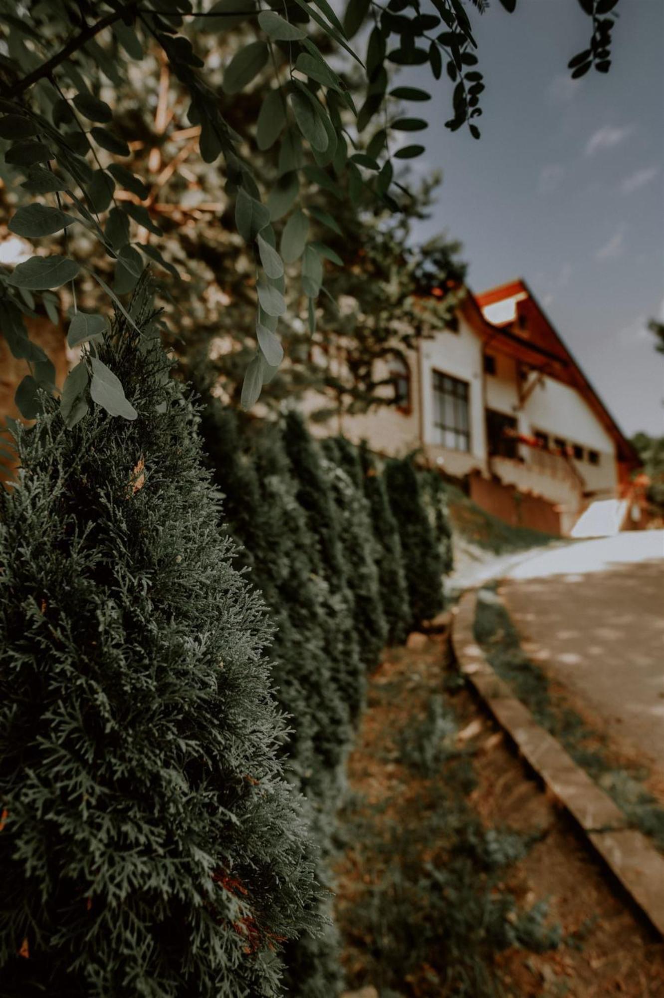 Pensiunea Poiana Verde Slănic Moldova Exterior foto