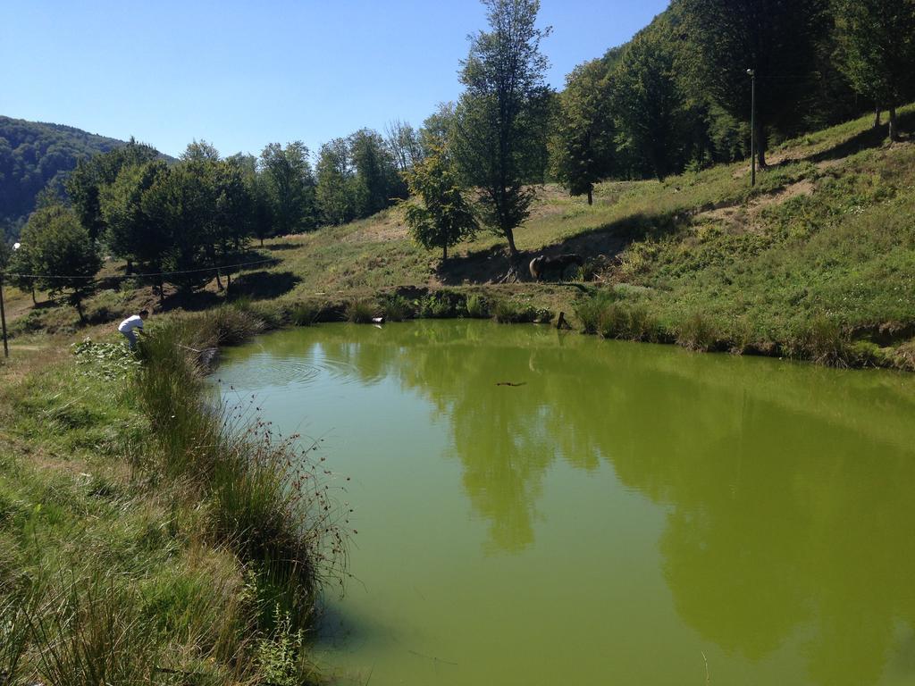 Pensiunea Poiana Verde Slănic Moldova Exterior foto