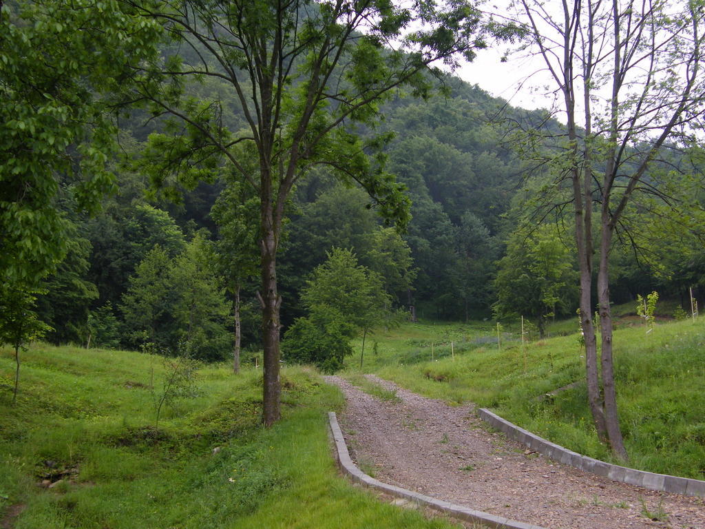 Pensiunea Poiana Verde Slănic Moldova Exterior foto