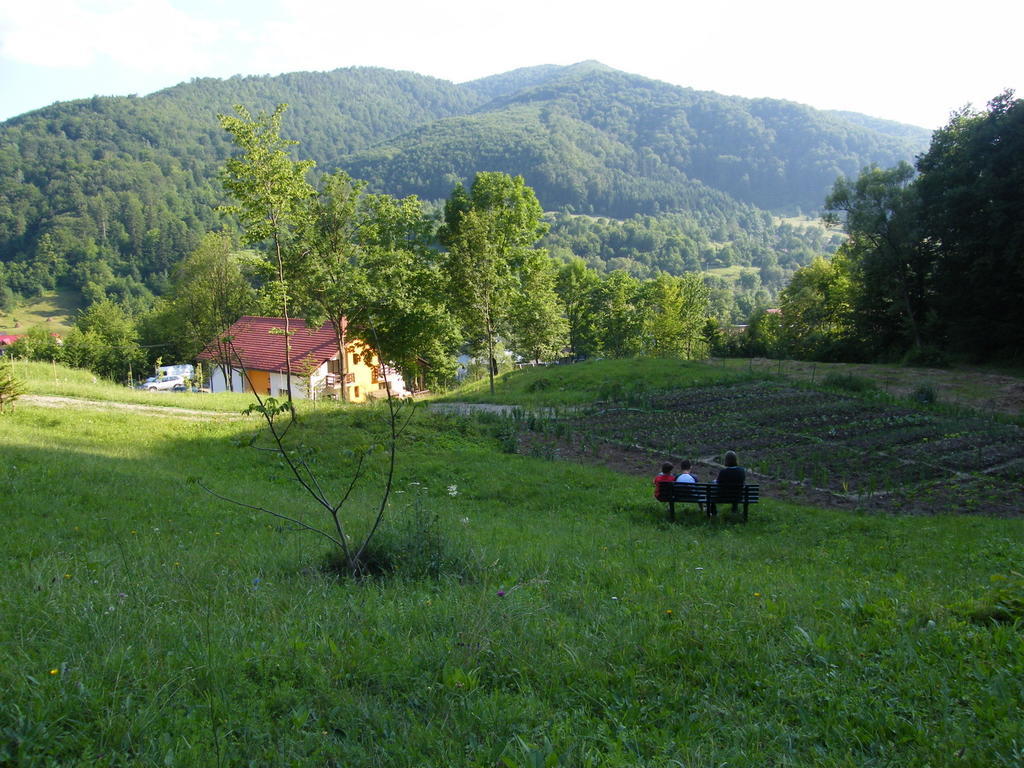 Pensiunea Poiana Verde Slănic Moldova Exterior foto